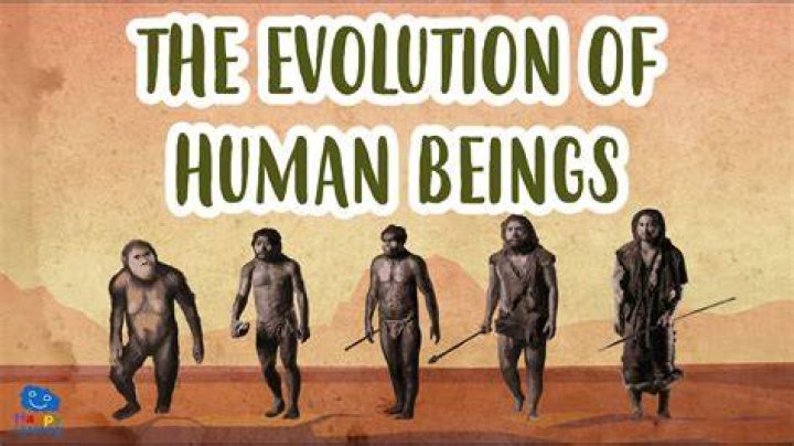 Ammika Harris Reveals The Things That All Human Beings Want