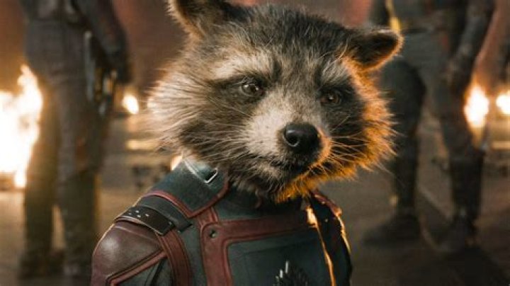 An Emotional Journey Awaits Rocket Raccoon In Guardians Of The Galaxy Vol. 2, According To Sean Gunn