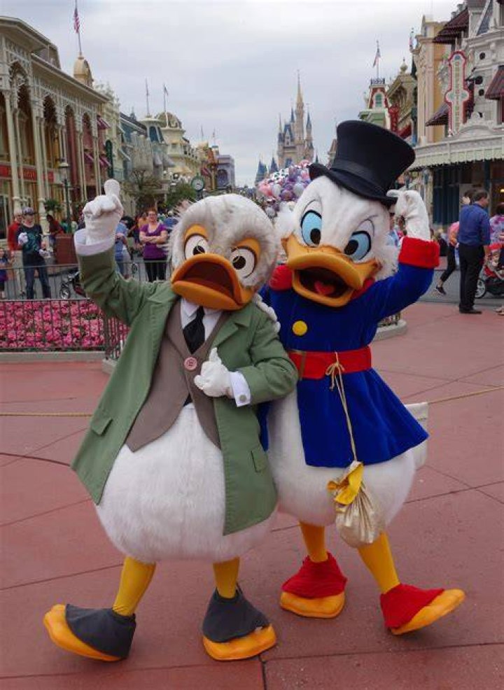 Are Scrooge McDuck and Ludwig von Drake related? – Celebrity