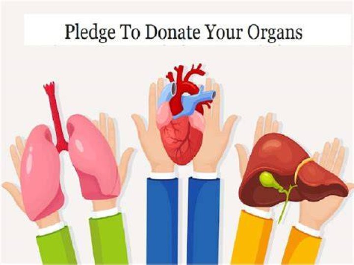 As Organ Donation And Life Support Are Cut Off, Anne Heche Will Get An Honorary Walk