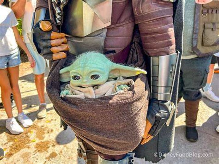 Baby Yoda Meet And Greets May Be Coming To Disney Parks