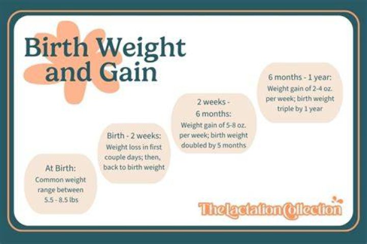 Big Brother's Jordan Weight Gain: Gaining extra pounds or expecting a child?