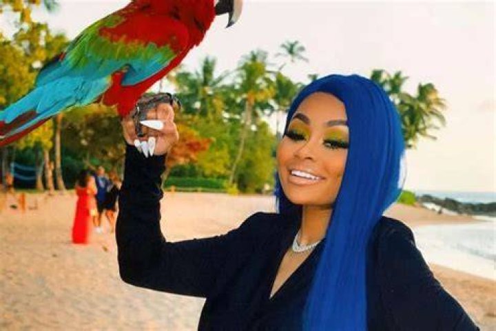Blac Chyna Shares Sweet Video With New Boyfriend Soulja Boy — Rob Kardashian Might Retaliate By Doing This