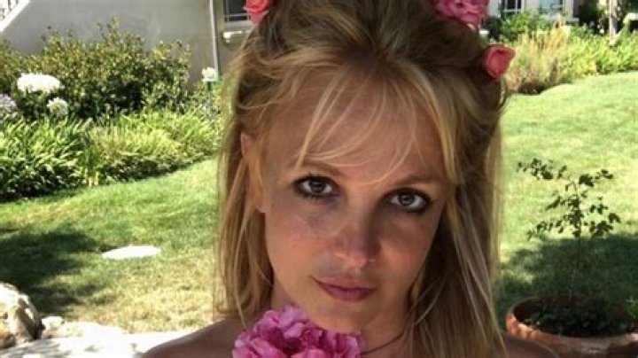 Britney Spears in Bathing Suit Walks in "Fields of Gold" — Celebwell