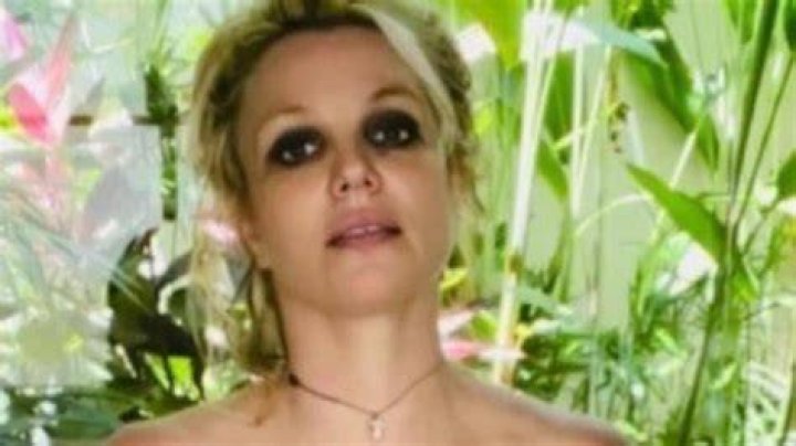 Britney Spears Insults Fans Theorizing Topless Pic She Posted Is Not Of Her But That Only Has Them More Convinced!