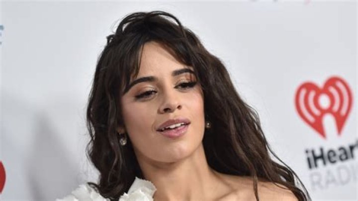 Camila Cabello Shares Rare Swimsuit Photo With Book "Papi" — Celebwell