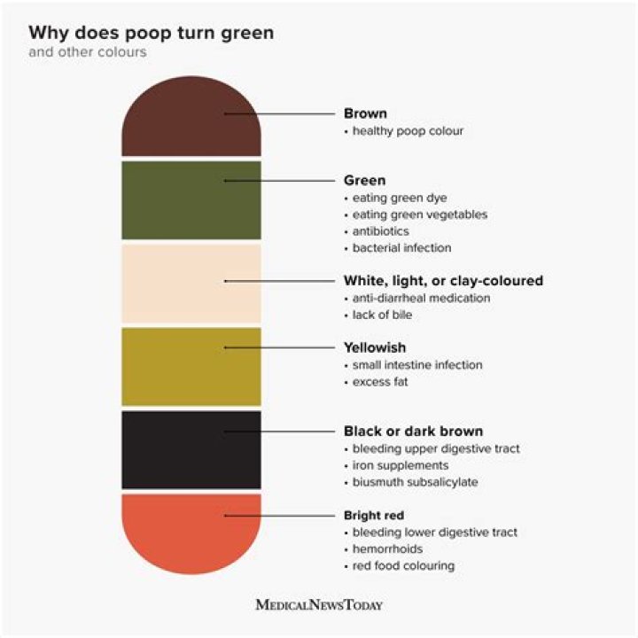 Can Food Coloring Dye Your Poop? – Celebrity