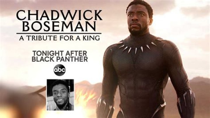 Chadwick Boseman Celebrated By Stars Like Oprah Winfrey, Mark Ruffalo And Many More During Touching Special Tribute