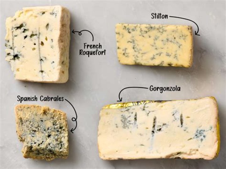 Cheese Forever Youtuber overview