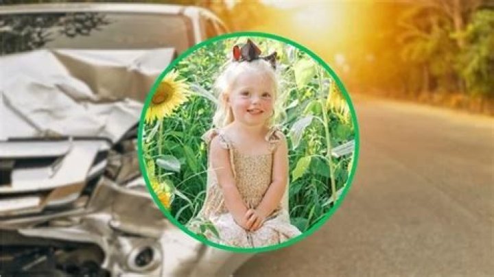 Chloe Lane Deese Death, Obituary, NC Toddler Killed In Accident