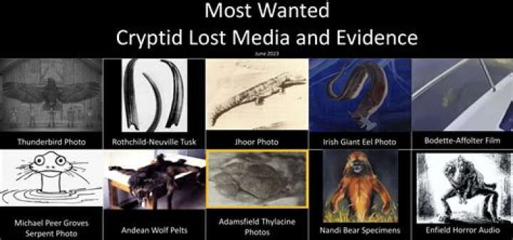 David Paulides Biography - Facts, Childhood, Family Life & Achievements of Cryptozoologist.
