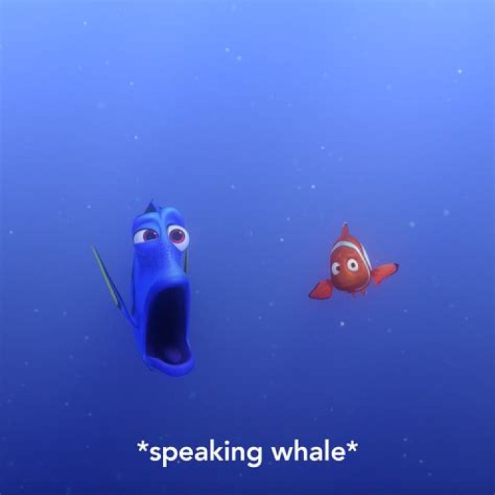 Did Dory actually speak whale? – Celebrity