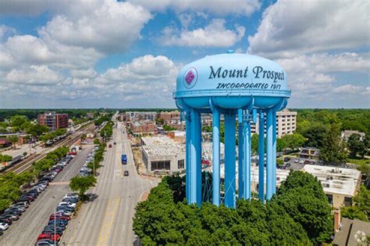 Dr. Witold Zajewski, MD – Mount Prospect, IL