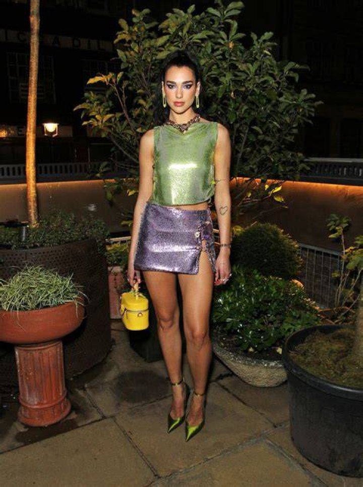 Dua Lipa in Bathing Suit Says "Happy 50th Birthday" to Mom — Celebwell