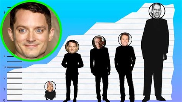 Elijah Wood Height Weight Body Measurements Shoe Size Age Ethnicity