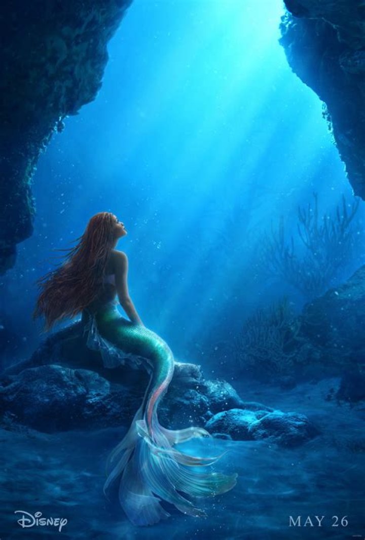 Everything We Know So Far About Deep Blue Sea 3