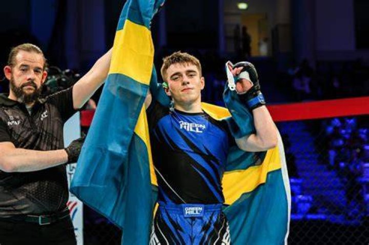 Famous Swedish Mixed Martial Artists