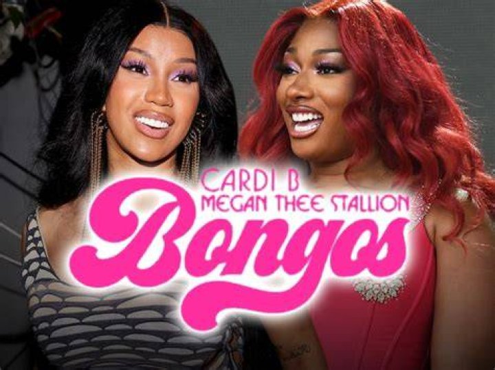 Fans Start Petition To Eliminate Kylie Jenner From Megan Thee Stallion And Cardi B’s New Music Video