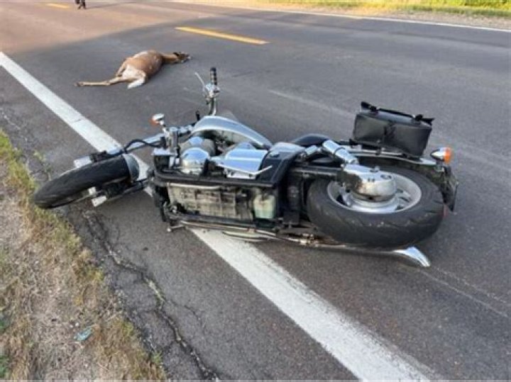 Gerald Lyman Dies in a Motorcycle-Versus-Deer Collision