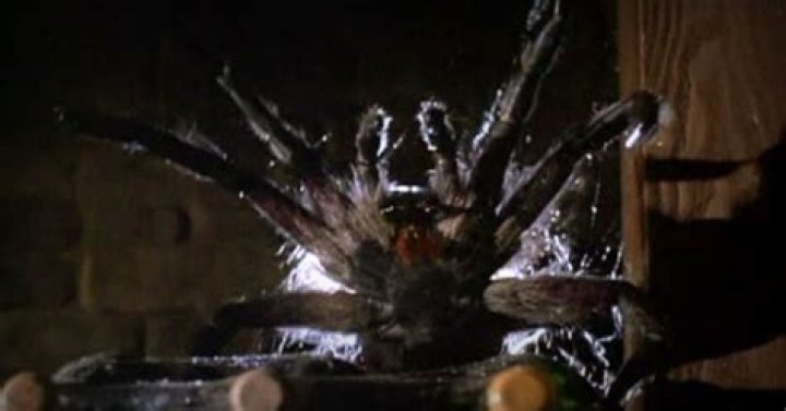 Grab your rolled newspapers, an ‘Arachnophobia’ remake is happening