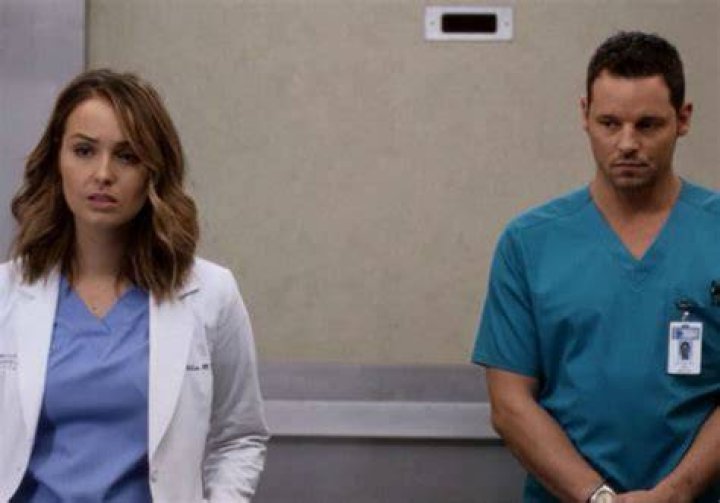 Grey’s Anatomy Star Camilla Luddington On The Future Of Alex And Jo