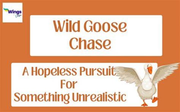 HARD Summer Unveils Curious Wild Goose Chase For Lineup Details