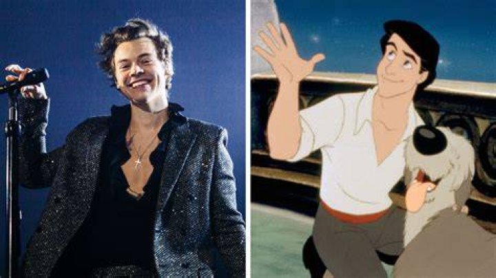 Harry Styles Explains Why He Turned Down The Role Of Prince Eric In The Upcoming Live-Action Remake Of The Little Mermaid