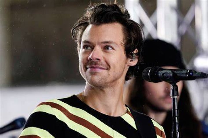 Harry Styles’ Hair Defied The Efforts Of ‘Don’t Worry Darling’ To Make It Appear Bad