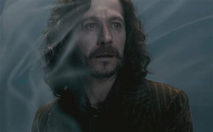 How Did Sirius Black Die In Harry Potter?