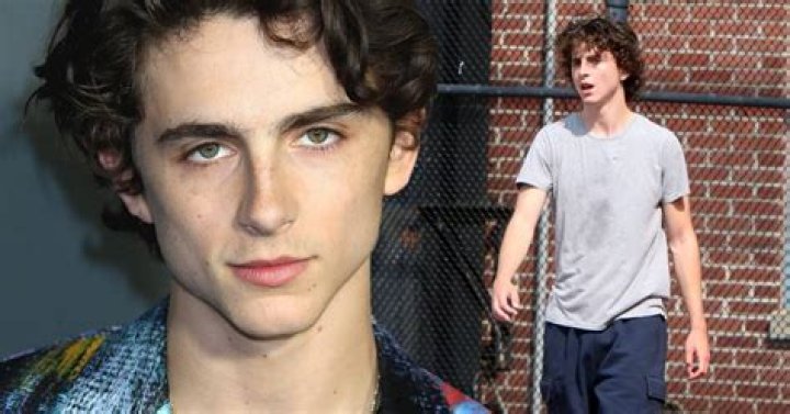 How Did Timothée Chalamet Lose Weight For Beautiful Boy? – Celebrity