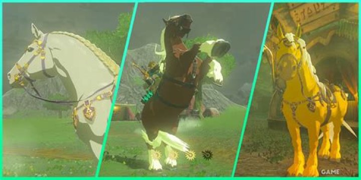 How Do You Get The Pure White Horse In Zelda? – Celebrity