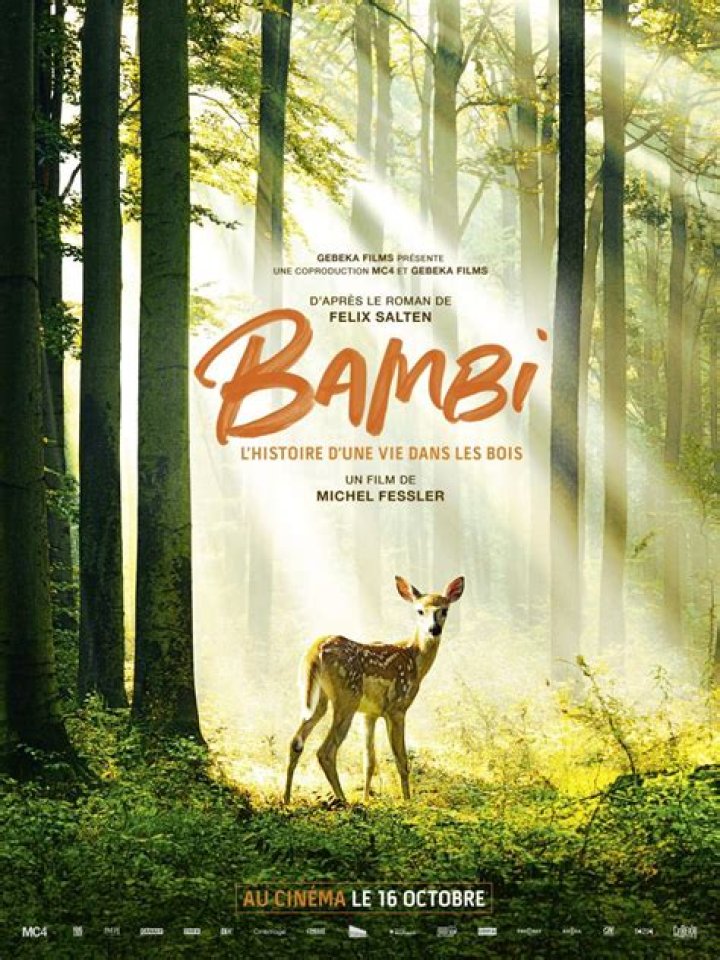 How does the movie Bambi end? – Celebrity