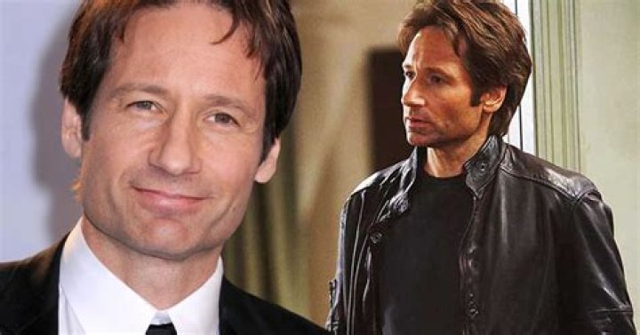 
How Much Money Does David Duchovny Make? Latest Income Salary
