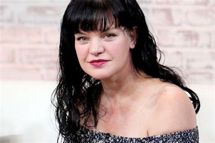 
How Much Money Does Pauly Perrette Make? Latest Income Salary

