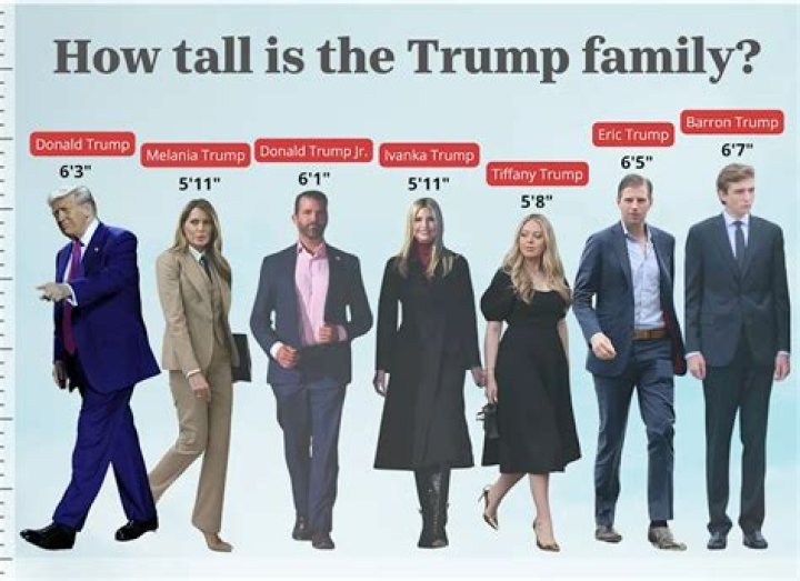 How tall is the kingpin? – Celebrity