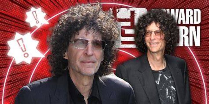 Howard K. Stern career earnings and networth