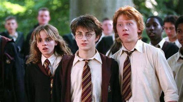 Hypocritical British TERF caught red-handed in public ‘Harry Potter’ erotic fanfic hilarity