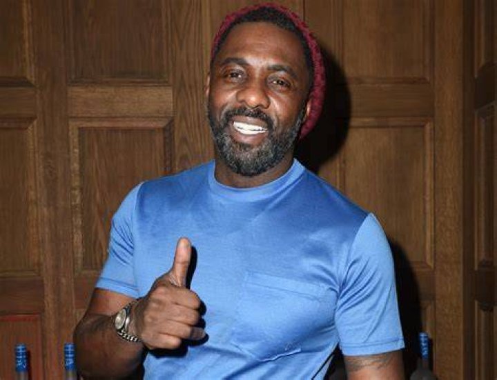 Idris Elba Rejects Allegations Of Plagiarism Regarding His New Play – Tree