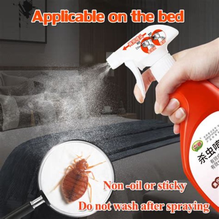In Kumasi: Three siblings die from bedbugs insecticide spray