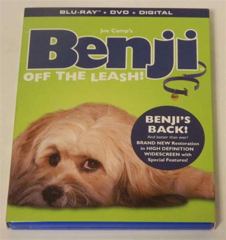 Is Benji a true story? – Celebrity