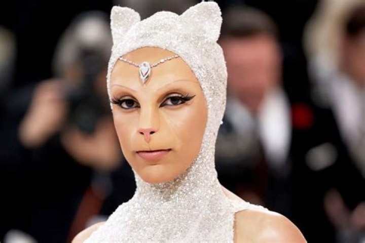 Is Binx a real cat? – Celebrity