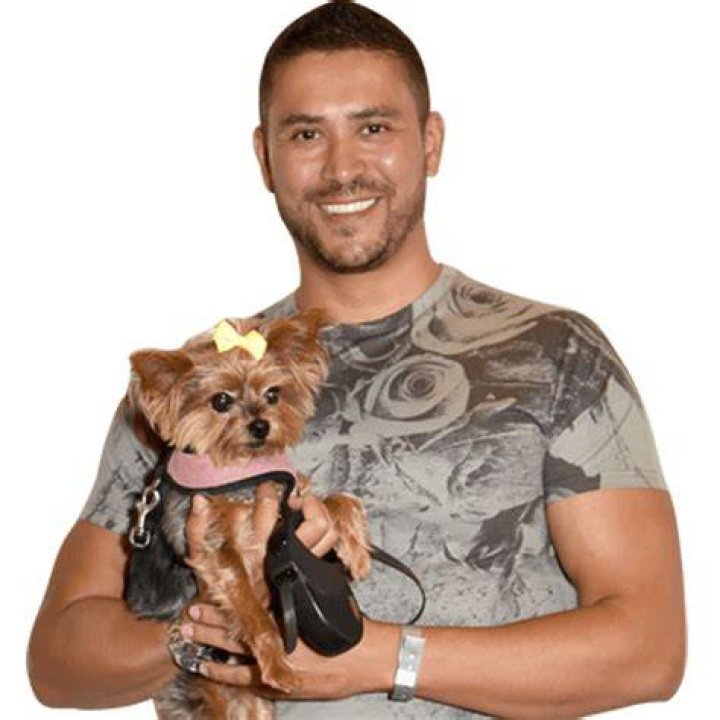 Is Bolt a real dog? – Celebrity