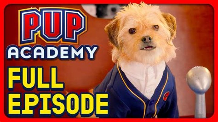 Is dude in pup Academy? – Celebrity