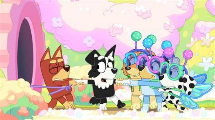 Is Mackenzie A Girl Or Boy In Bluey? – Celebrity