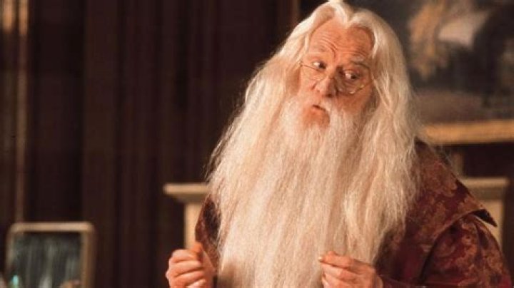 Is Michael Caine playing Dumbledore in Max’s ‘Harry Potter’ series?