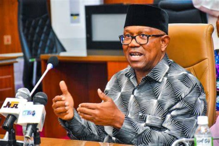 Is Peter Obi the owner of Fidelity Bank, Hero Beer or Grand Malt?
