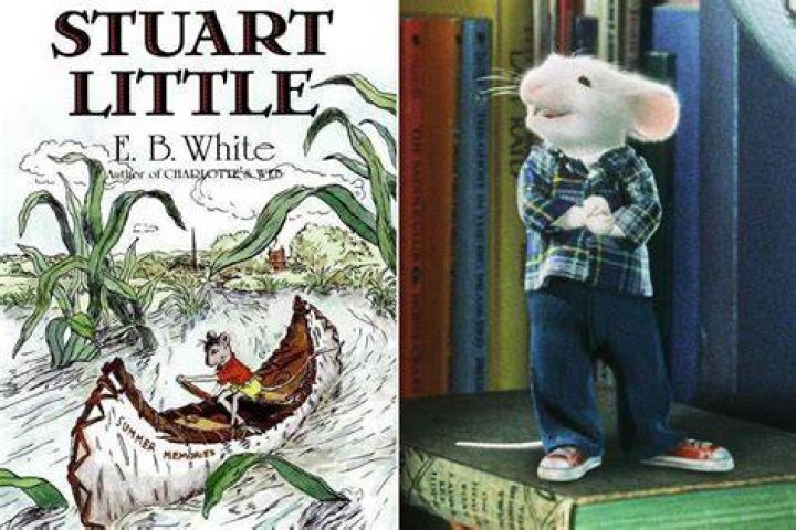 Is Stuart Little a mouse or a rat? – Celebrity