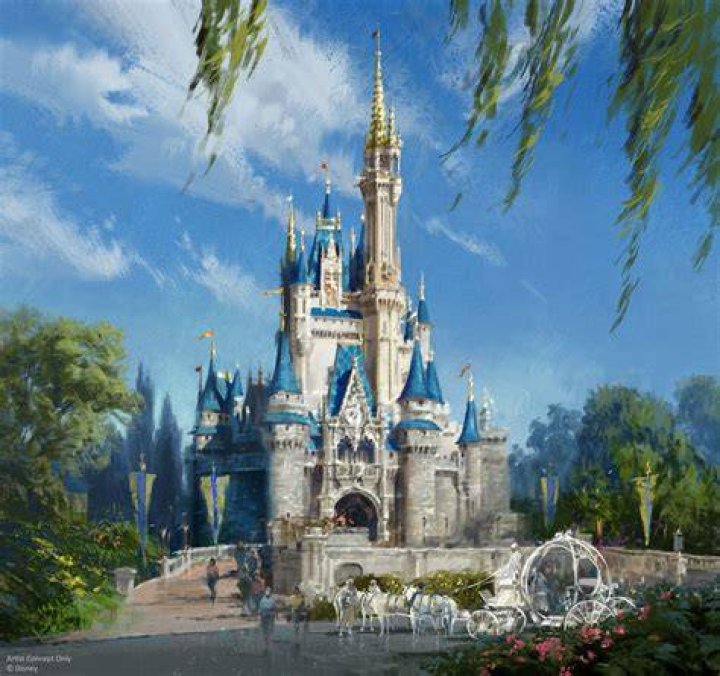 Is the Disney castle backwards? – Celebrity