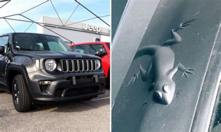 Is There A Hidden Animal On Every Jeep? – Celebrity