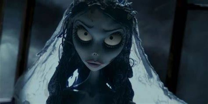 Is Zero the dog in Corpse Bride? – Celebrity